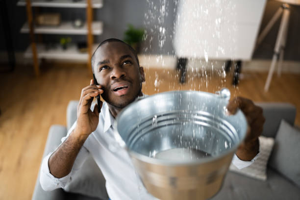 Best Basement water damage restoration  in Honokaa, HI