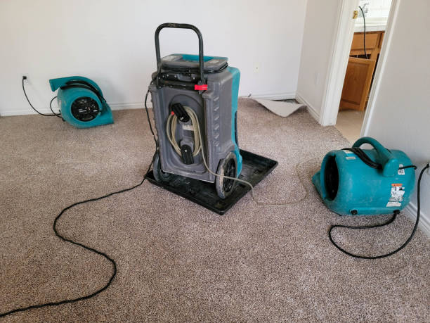  Honokaa, HI Water damage restoration Pros