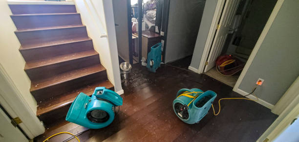 Trusted Honokaa, HI Water damage restoration Experts