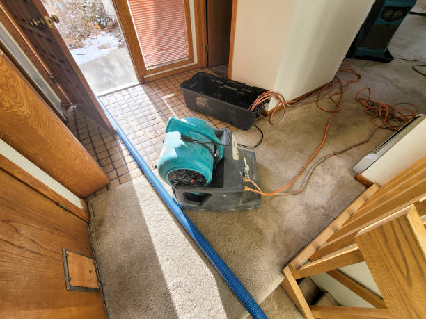 Water damage restoration experts in Honokaa, HI