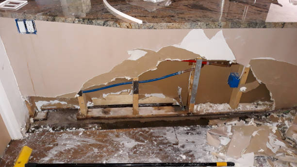 Best Water damage cleanup near me  in Honokaa, HI