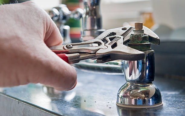 Best Residential water damage restoration  in Honokaa, HI
