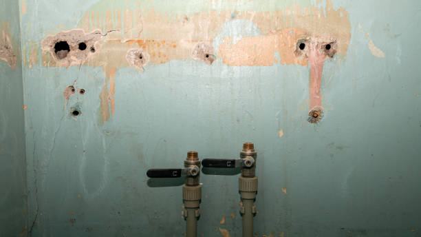 Best Local water damage restoration  in Honokaa, HI