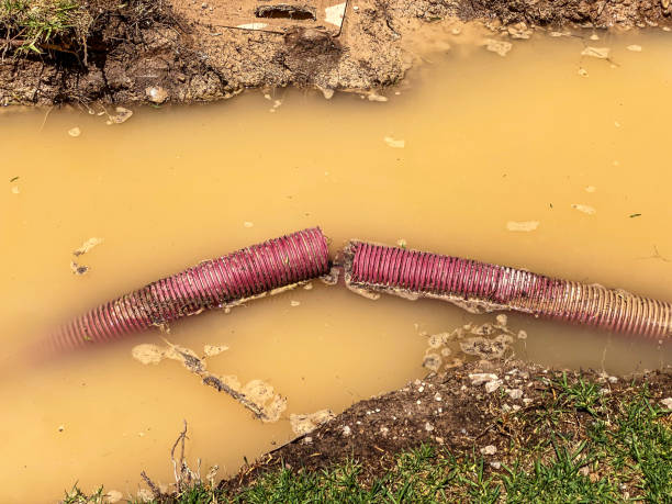 Best 24/7 water damage repair  in Honokaa, HI