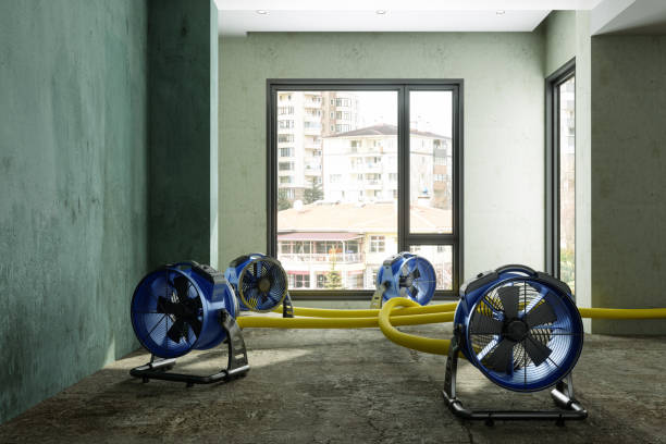 Carpet water damage restoration in Honokaa, HI